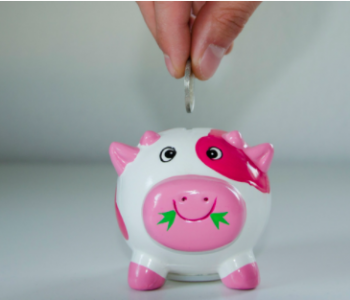 5 Ways to Save On Energy Costs piggy bank saving